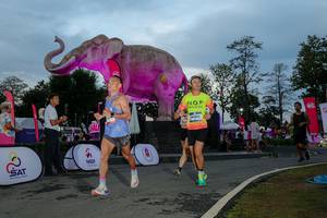 BIB: 
                            <button type="button" onclick="openModal(26529515)" class="btn btn-primary btn-sm float-right btn-popup" data-toggle="modal" data-target=".modal-high-quality">
                        <i class="fas fa-shopping-cart"></i> Add to Cart
                    </button>
                                            <button type="button" onclick="isThisMe(26529515, true)" class="btn btn-success btn-sm float-right btn-popup btn-isme hidden" data-toggle="tooltip" data-placement="bottom" title="นี่คือรูปของคุณใช่ไหม คลิกที่นี่เพื่อเอาเข้าอัลบั้ม">
                        <i class="fas fa-plus"></i> Add to album
                    </button>
                    <button type="button" onclick="isThisMe(26529515, false)" class="btn btn-warning btn-sm float-right btn-popup btn-isnotme hidden">
                        <i class="fas fa-ban"></i> Remove from album
                    </button>